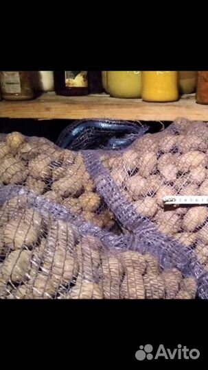 Продам сменную картошку