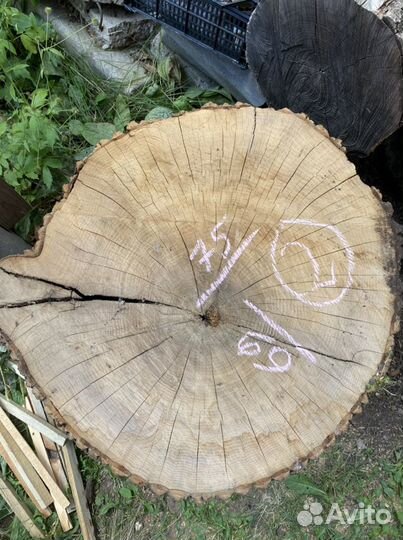 Спил (слэб) ясеня