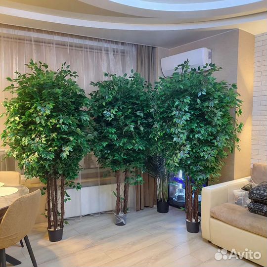 Искусственное дерево. Фикус бенджамина