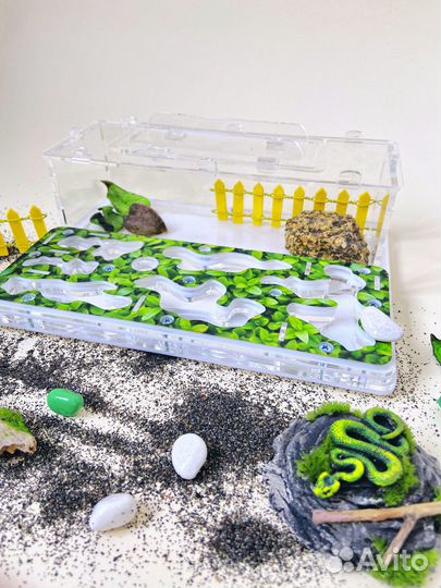 Муравьиная ферма с муравьями