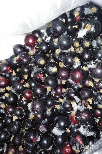 Замороженные малина, калина, смородина,чернослив