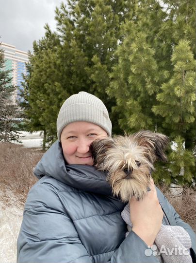 Передержка собак