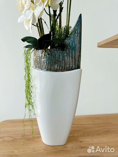 Орхидея белая для дома и офиса