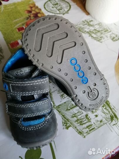 Ботинки ecco, 19