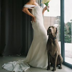 Свадебное платье Pronovias