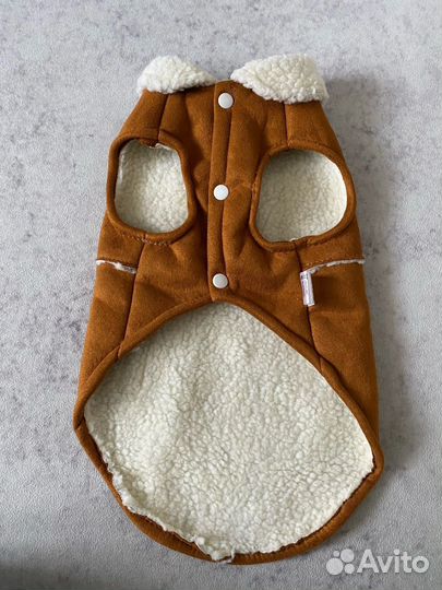 Одежда для собак