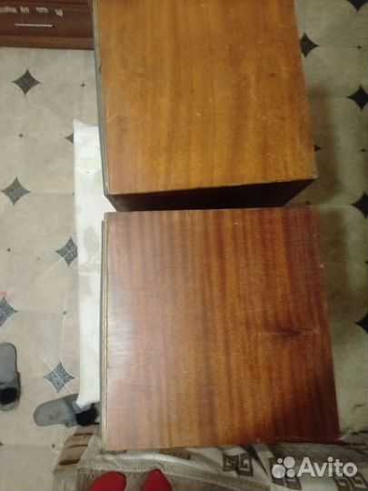 Акустические колонки Вега 25ас-109-2