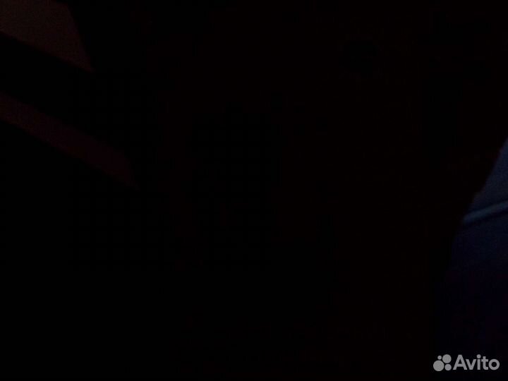 Щенок метис хаски с овчаркой