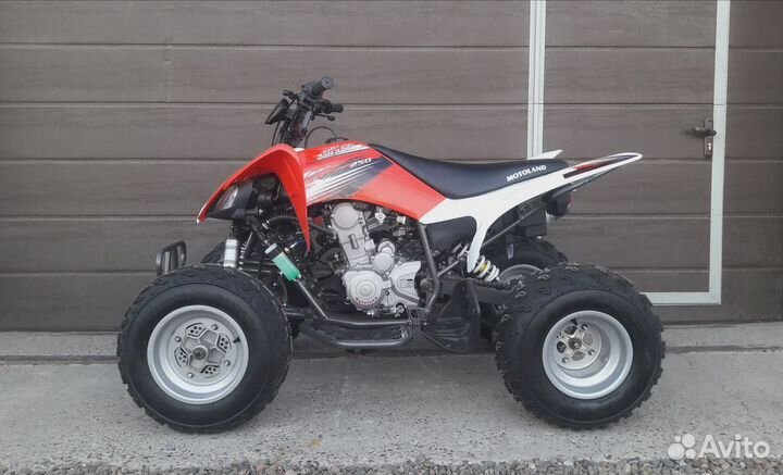 Квадроцикл Motoland 250S Pro