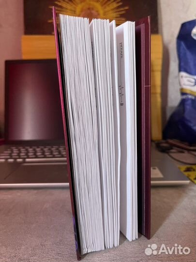 Играй мика мисфор книга