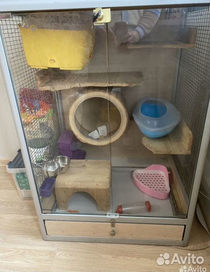 Клетка витрина для шиншиллы или грыззунов