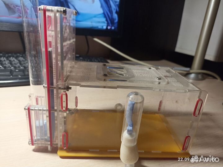 Муравьиная ферма бу