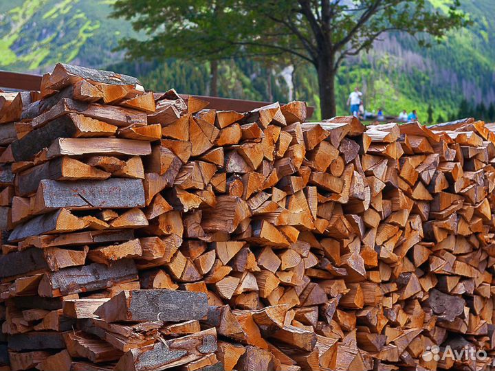 Дрова березовые