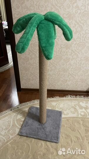 Когтеточка