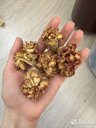 Сухоцветы. Гвоздики, розы, гортензии