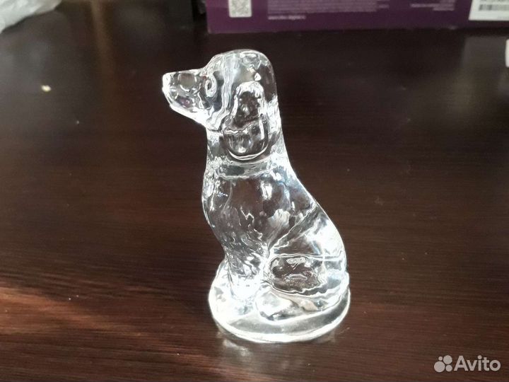 Охотничья собака стеклянная спаниель