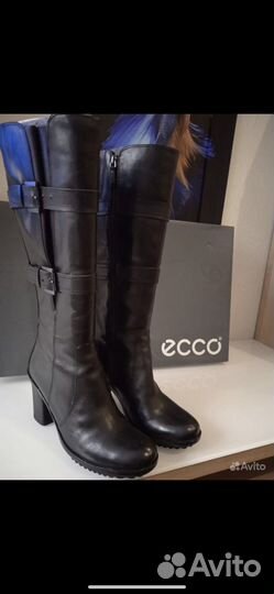 Сапоги ecco