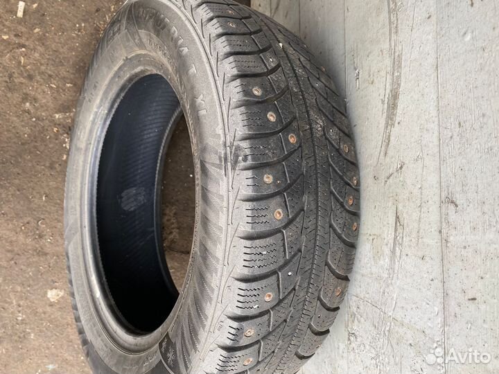 Matador MP 30 Sibir Ice 2 175/65 R14