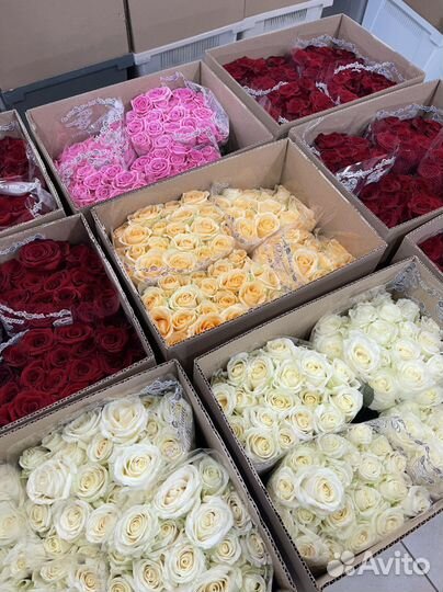 Розы букеты