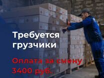 Грузчики оплата ежедневная