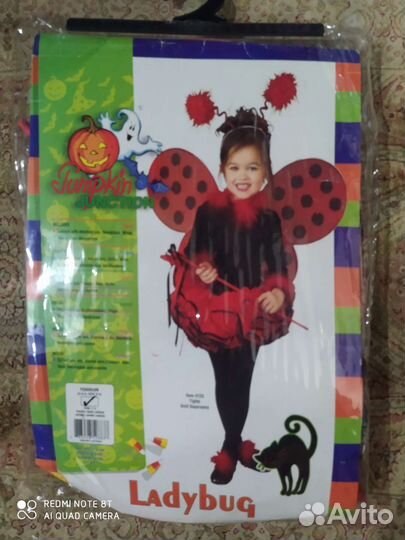 Костюм Божьей коровки