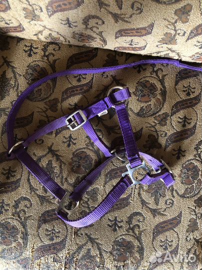 Недоуздок для жеребенка