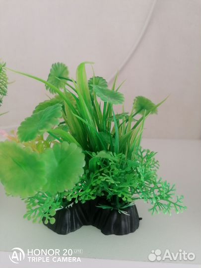 Декорации для аквариума