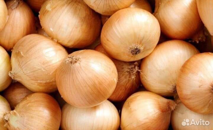 Лук Репчатый Доставка