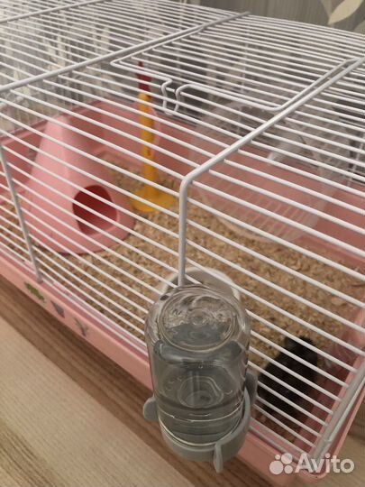Клетка для хомяка