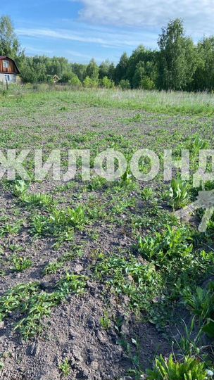 Участок 12 сот. (СНТ, ДНП)