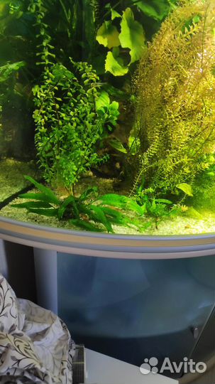 Аквариум Aquatlantis