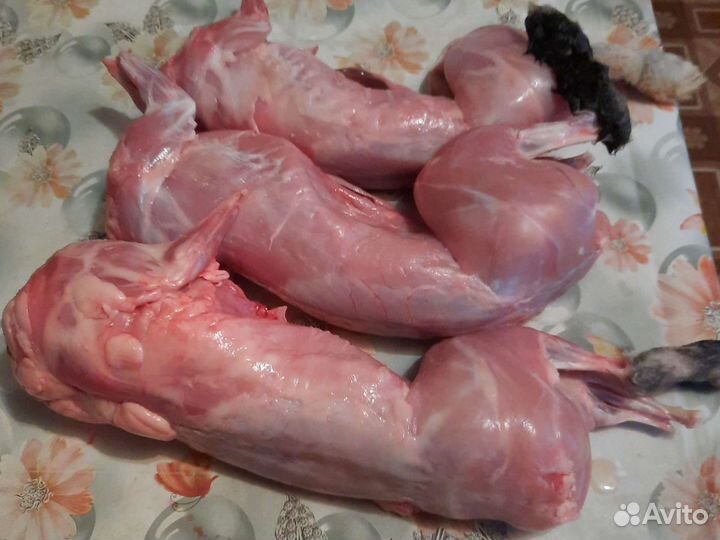 Мясо кролика кролик