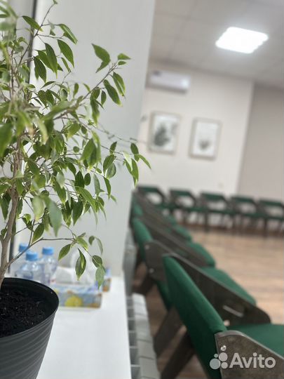 Почасовая аренда кабинетов