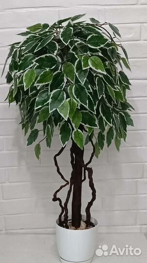 Искусственные растения