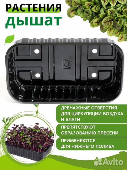 Лотки для микрозелени
