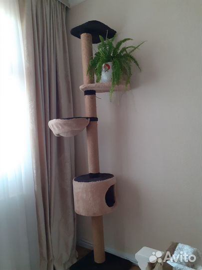 Когтеточка для кошек