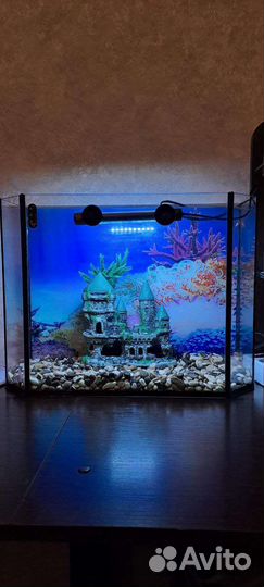 Аквариумы 7 и 30 литров, декорации