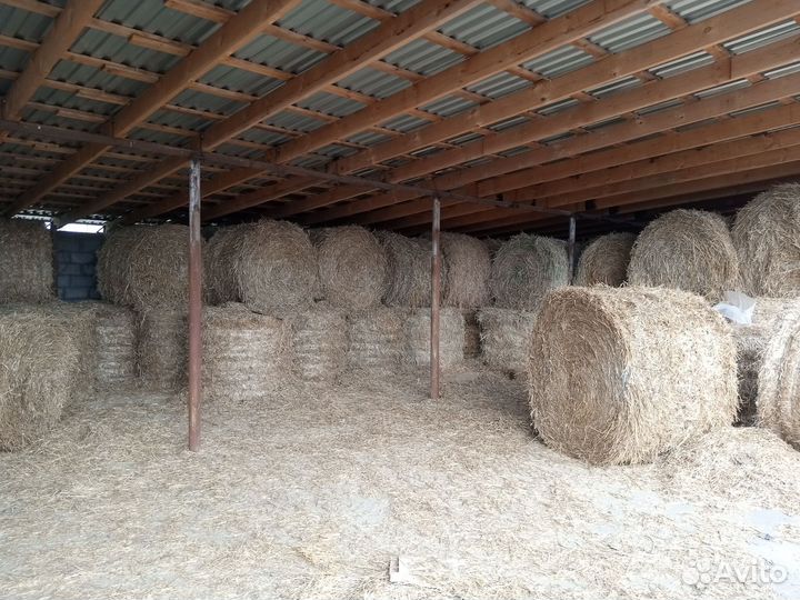 Продам солому