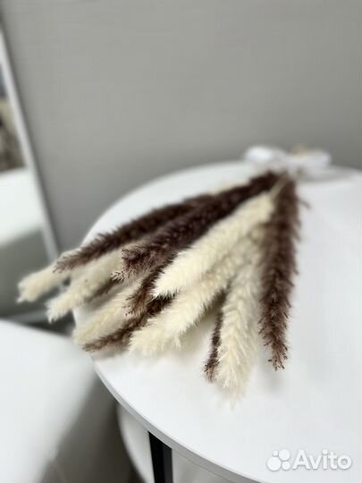 Сухоцветы, пампасная трава кортадерия