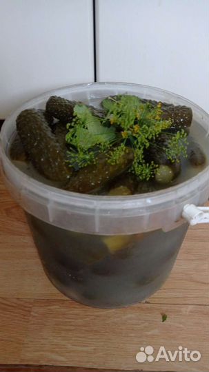 Огурцы соленые бочковые