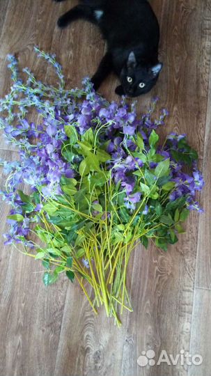 Глицинии искусственные