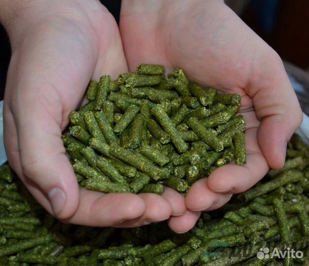 Комбикорм с Сеном для Кроликов