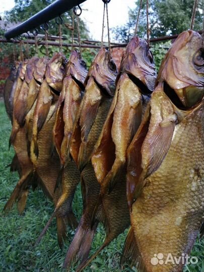 Холодное копчение рыбы