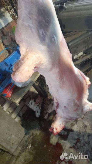 Мясо баранина свежая