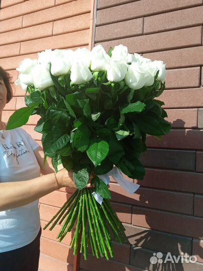 Букет из 101 розы/Белые розы