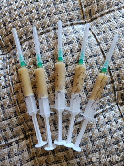 Трутневое молочко