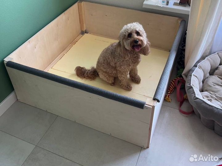 Родильный ящик для собак