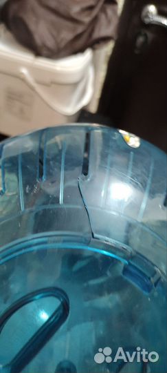 Шар для грызунов 25 см