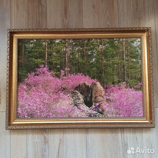 Картина в рамке 61х43