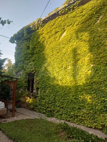 Комната 20 м² в 9-к., 1/2 эт.